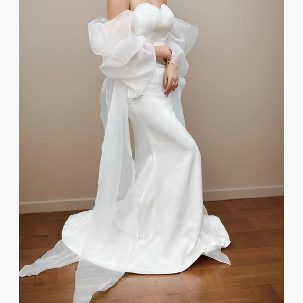 Elegant White Sheer Sleeves

Sheer Organza Bridal Sleeves
